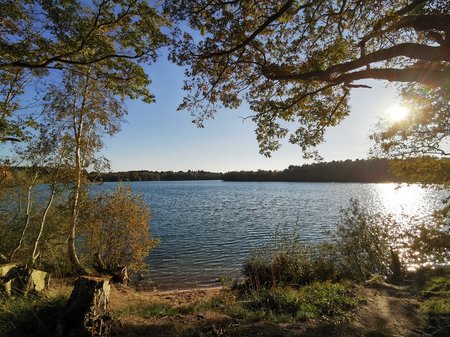 Blick auf einen See in Richtung Sonnenuntergang. Im Vordergrund oben ein Ast mit Blättern, der die Sonne etwas verdeckt. Das Wasser des Sees ist etwas gekräuselt, die Sonne spiegelt sich darin.