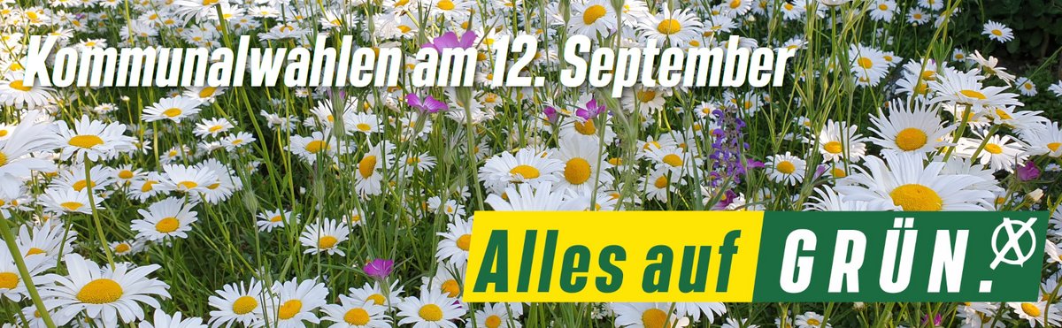 Kommunalwahlen am 12. September: Alles auf GRÜN.